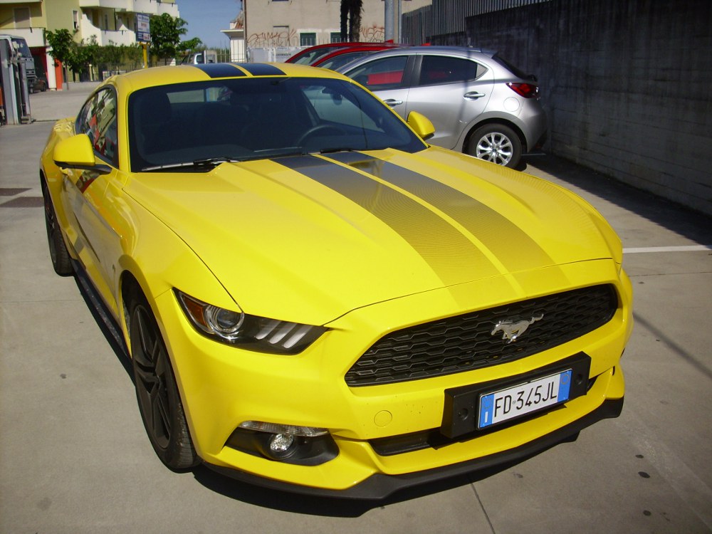 MUSTANG1