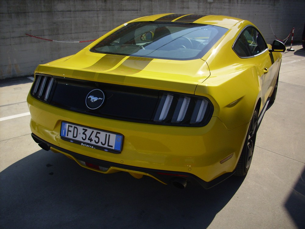 MUSTANG2