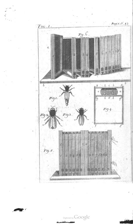 TAV.I Manuel_per_il_proprietario_delle_api-2