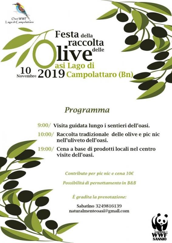 Festa_Della_Raccolta_Delle_Olive_A_Campolattaro