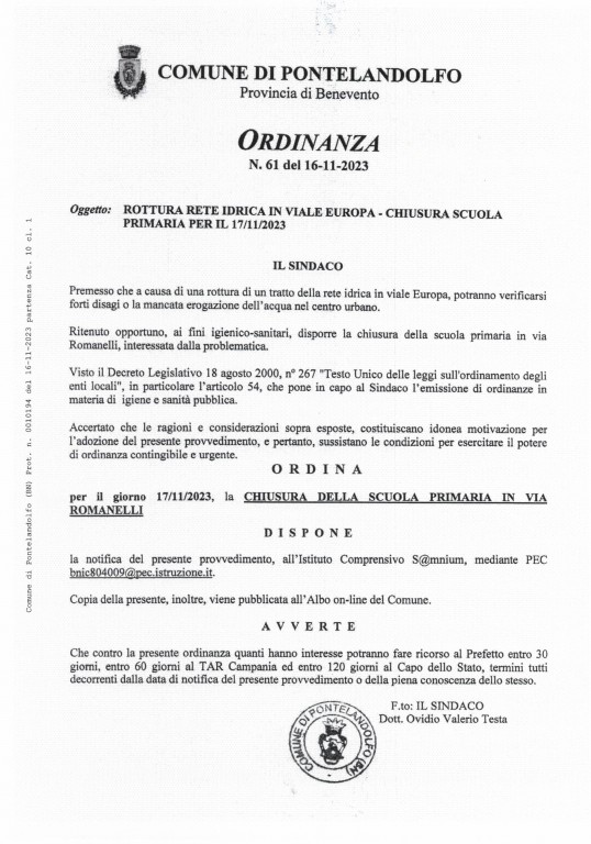 Ordinanza_61