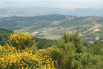 PONTELANDOLFO VEDUTA ALTO