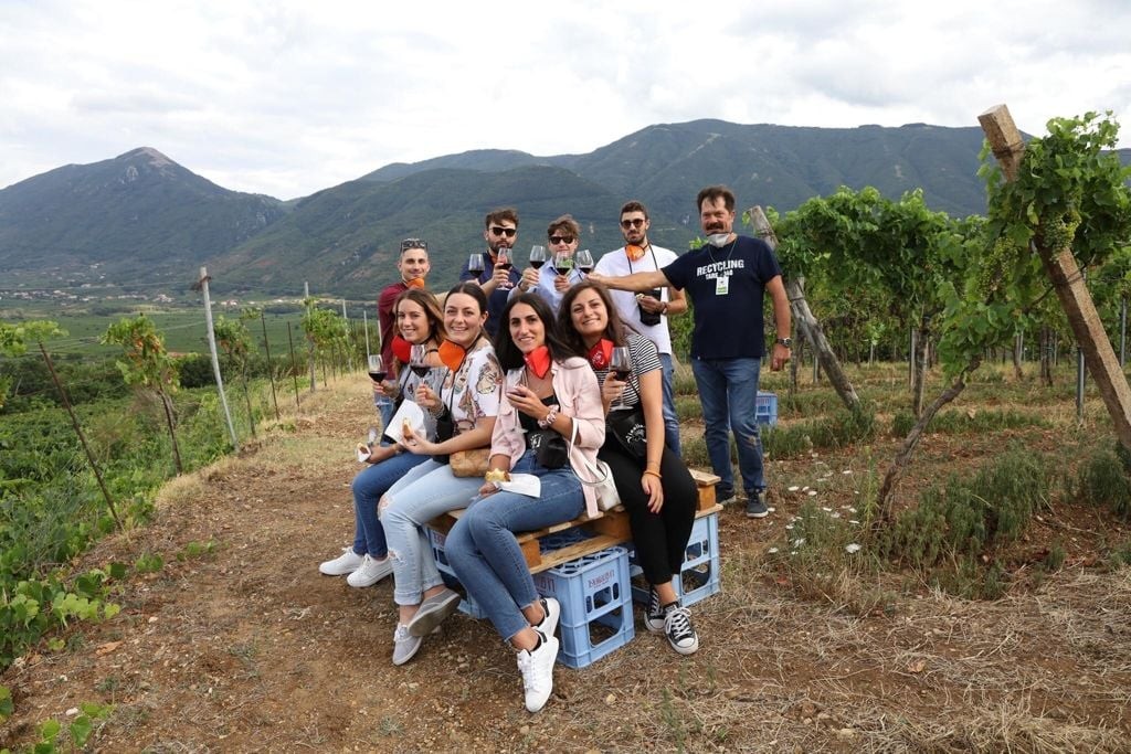 vigneti wine tour